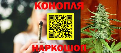 дурь Кингисепп