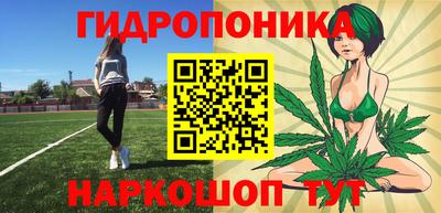 дурь Кингисепп